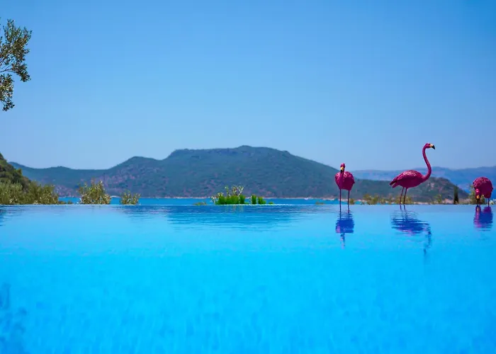 Casa de hóspedes The Luxury Shelters