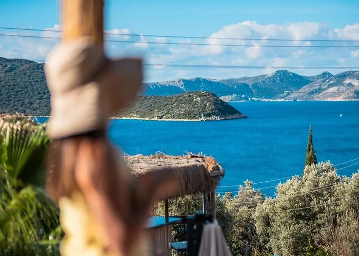 בית הארחה The Luxury Shelters