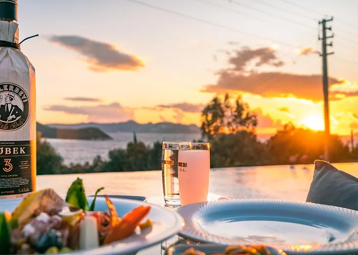 The Luxury Shelters קס