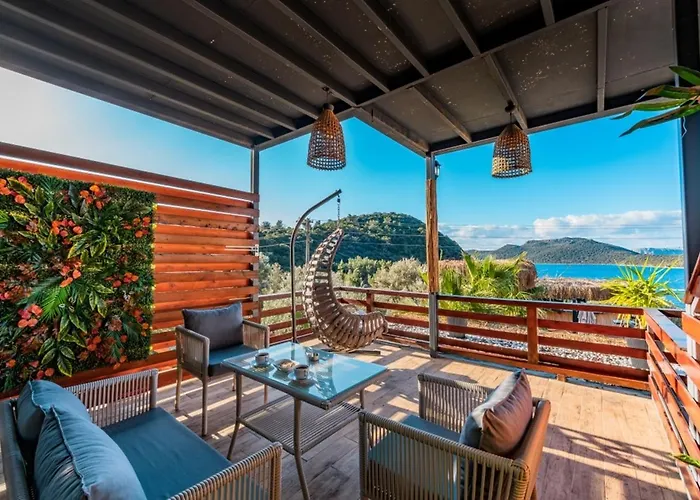 The Luxury Shelters קס