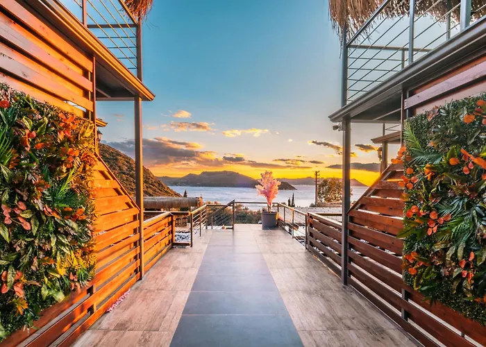 בית הארחה The Luxury Shelters