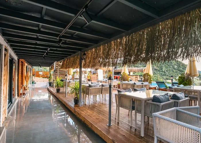 The Luxury Shelters קס